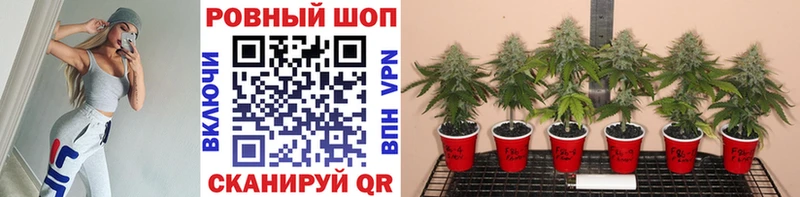 Купить закладку МАРИХУАНА  Alpha PVP  Меф  НБОМе  Кокаин  Северск