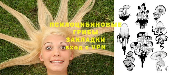 а пвп мука Балабаново