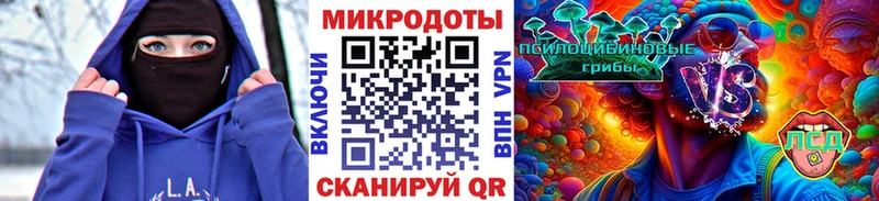 Купить  Северск  Галлюциногенные грибы MAGIC MUSHROOMS 